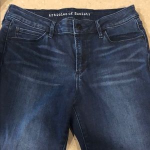 ARTICLE OF SOCIETY SKINNY JEANS